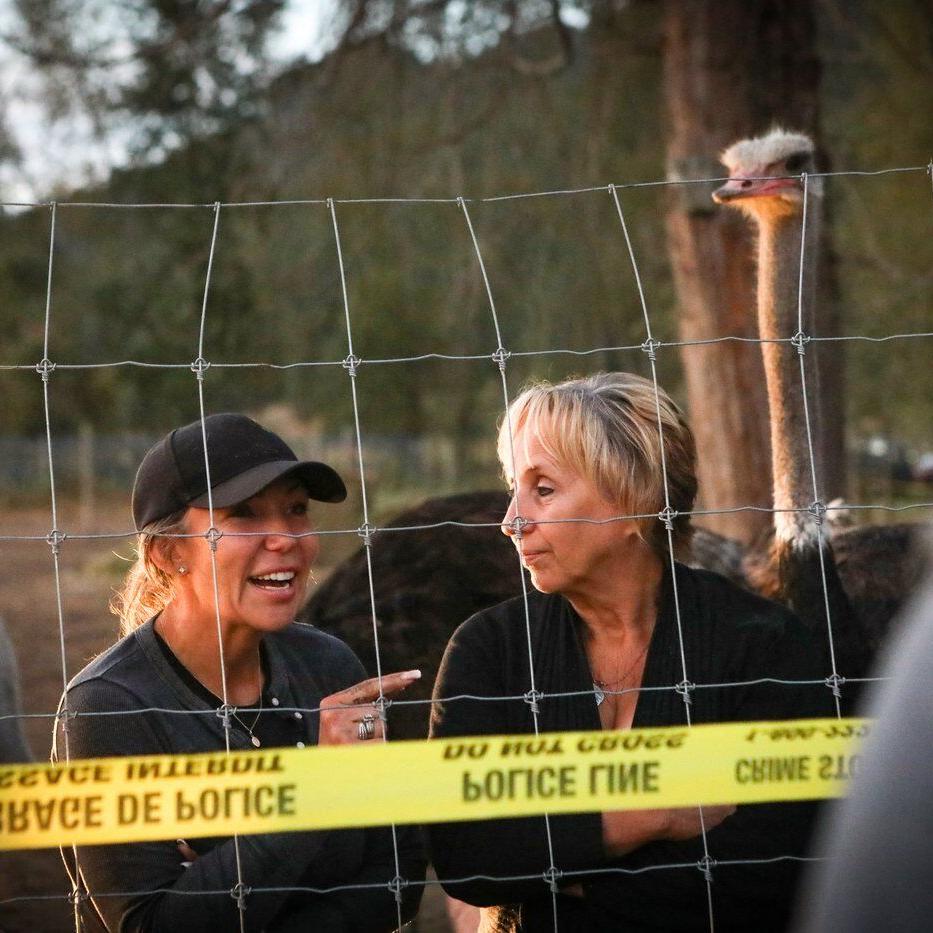 No decision on B.C. ostrich case until at least Oct. 30, as cull opponent is arrested